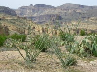 Along the Apache Trail